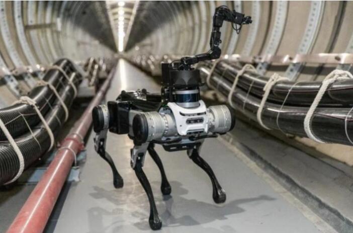robotic dog 
