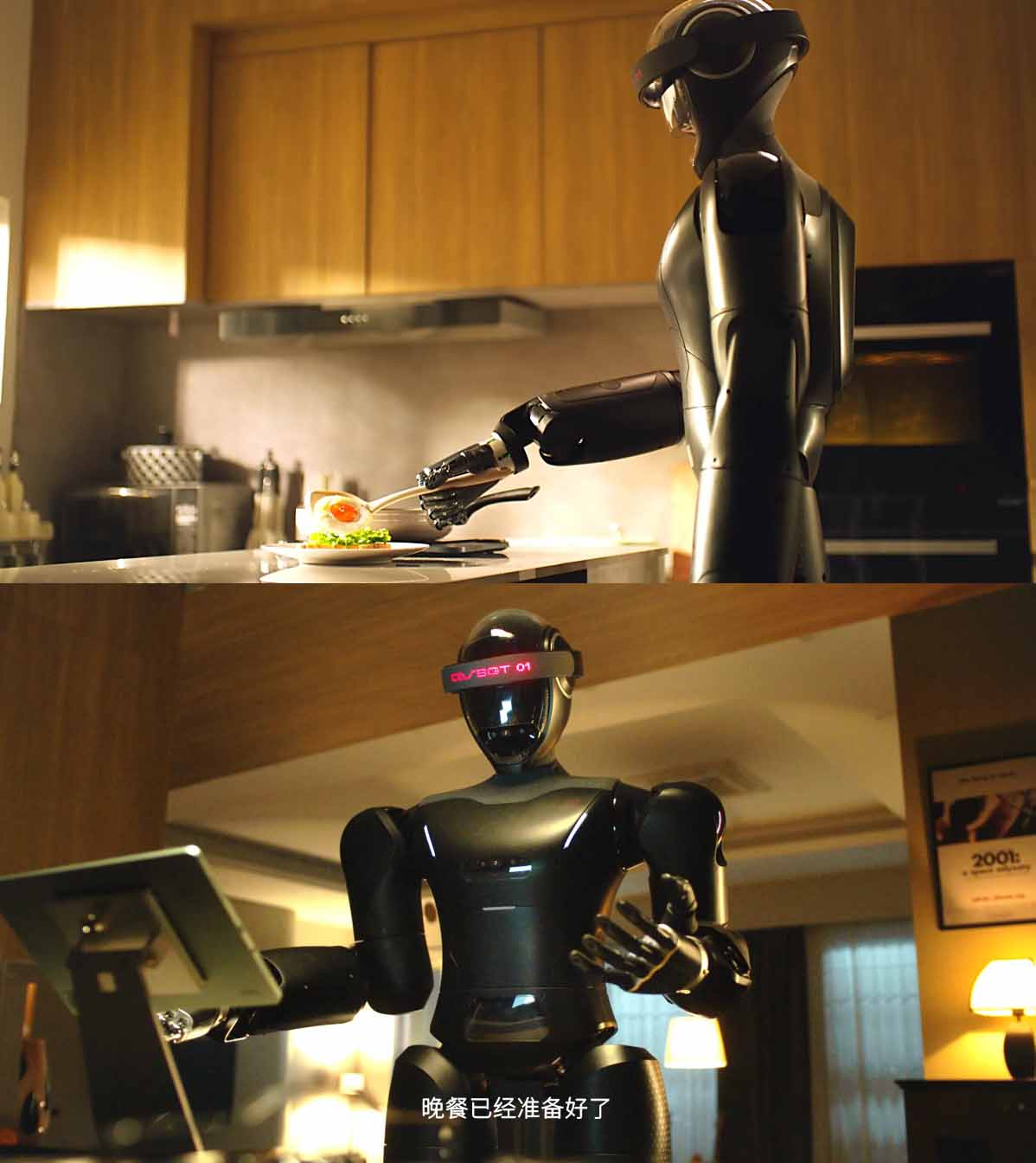 humanoid Robot