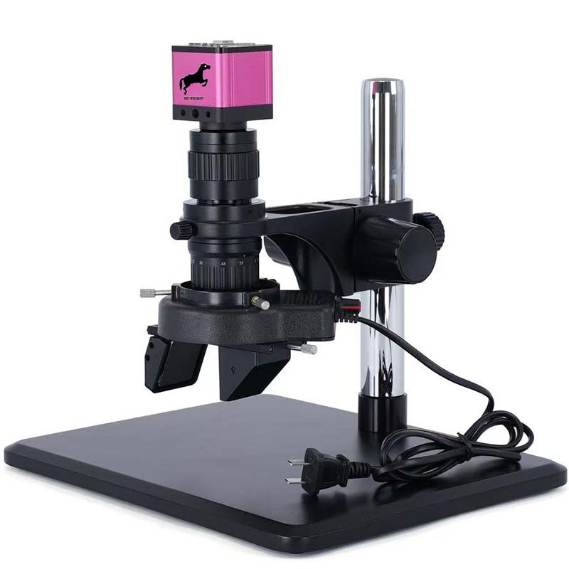 3d view microscope