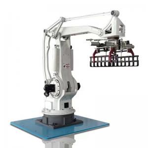 China best of 200kg payload palletizing robot