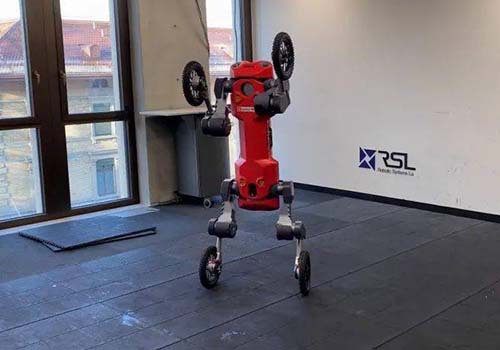 Swiss-Mile이 개발한 4족 보행 로봇은 스스로 서고, 구르고, 전달할 수 있습니다.